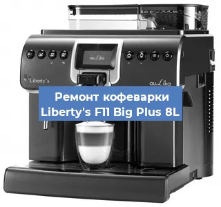 Чистка кофемашины Liberty's F11 Big Plus 8L от накипи в Ижевске